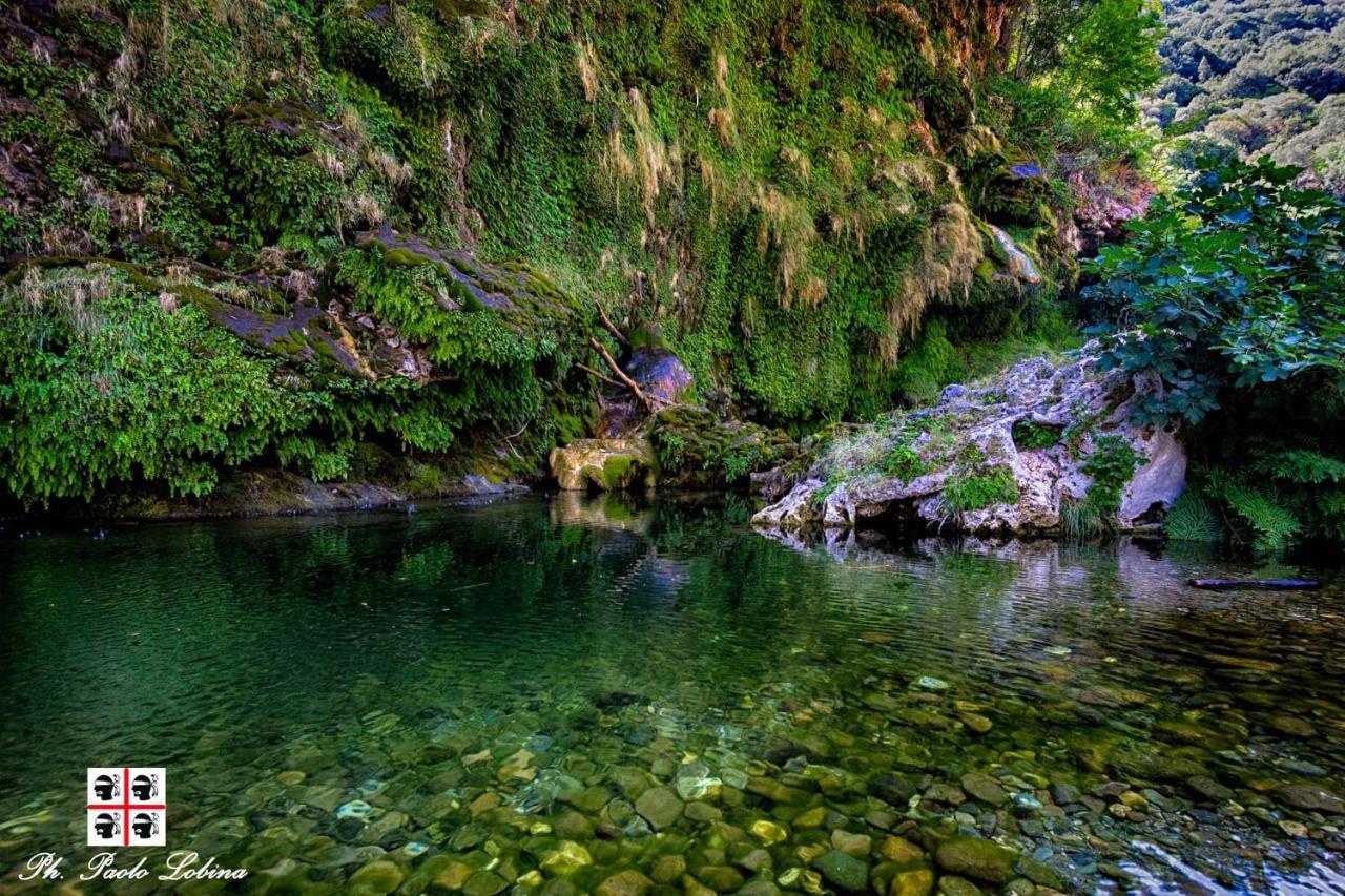 La Peonia Casa Vacanze In Montagna Prato Verde Panorama Stupendo Sardegna Seùlo Exterior foto